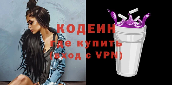 молекула духа Арсеньев