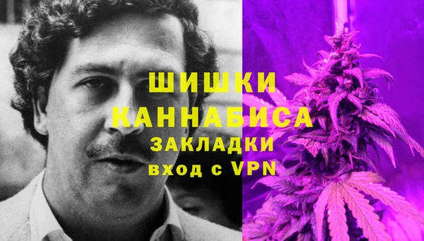 гидра Армянск