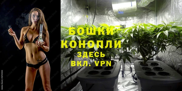 молекула духа Арсеньев