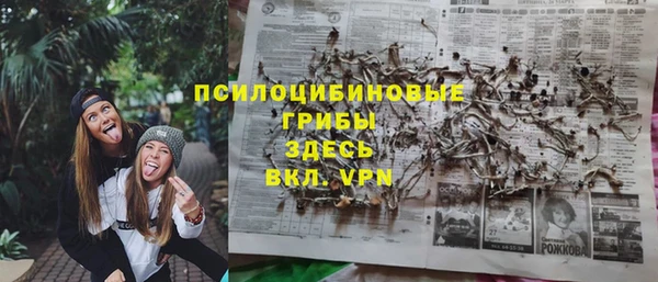гидра Армянск