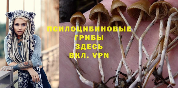 гидра Армянск