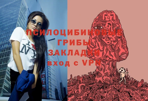 COCAINE Гусев