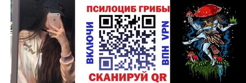 МЕГА зеркало  Сычёвка  Галлюциногенные грибы Cubensis 