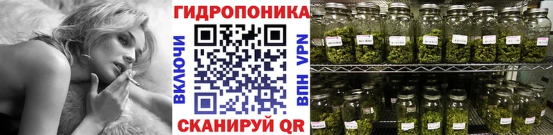 Шишки марихуана конопля Сычёвка